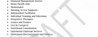 Proposed list of services drafted by the Self Determination Program advisory board