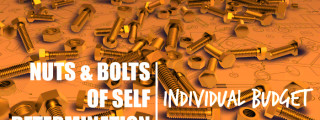 Explaining the nuts and bolts of Self Determination: Individual Budget